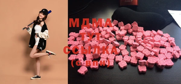 индика Алексин
