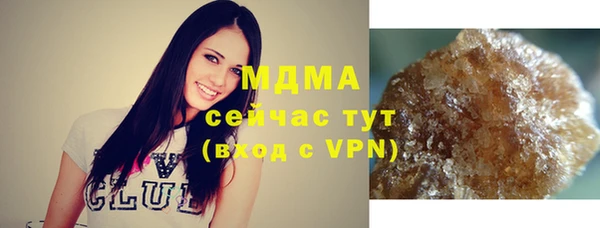 индика Алексин