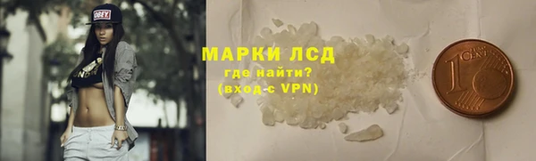 индика Алексин